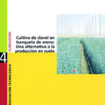 Cultivo de clavel en banqueta de arena: Una alternativa a la producción en suelo