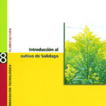 Introducción al cultivo de solidago