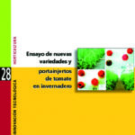 Ensayo de nuevas variedades y portainjertos de tomate en invernadero