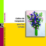 Cultivo de la campánula para flor cortada