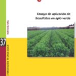 Ensayo de aplicación de tiosulfatos en apio verde