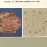 Nuevas perspectivas de lucha contra la enfermedad de Aujeszky