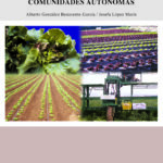 La lechuga en la Región de Murcia y otras comunidades autónomas