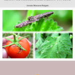La polilla del tomate “Tuta absoluta”en la Región de Murcia: Bases para su control