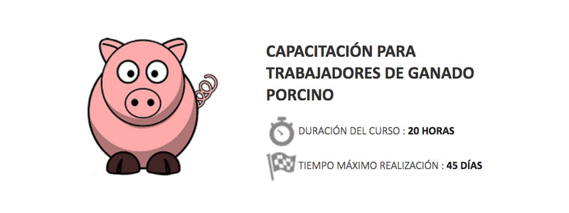 Agricultura pone en marcha un curso online gratuito de capacitación para el personal que trabaja con ganado porcino